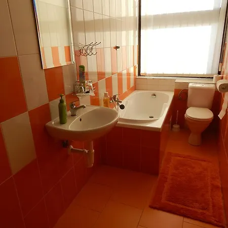 Guest house U Kasnych 3*